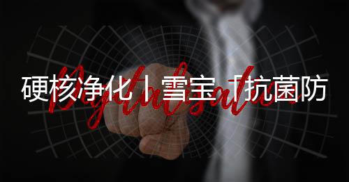 宝抗饰面效果纹理更逼真
