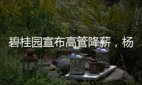 碧桂园宣布高管降薪�，杨惠妍莫斌调整后年薪12万元