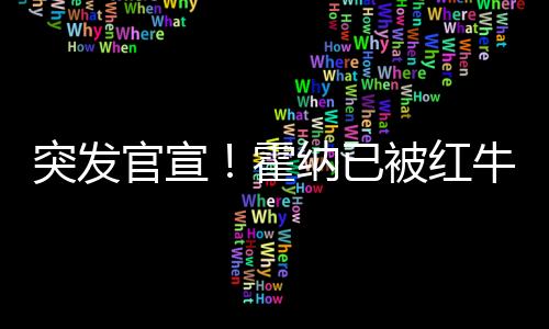霍纳红牛自2005年起至今
