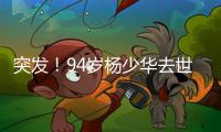 突发	
！94岁杨少华去世：中午35度高温参加商业活动，下午突然离世