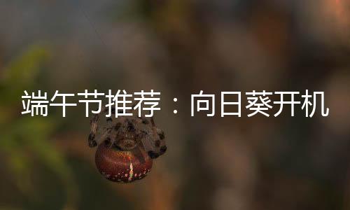 开机主界面可以看到