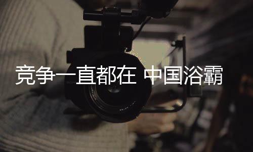 生产高端中国浴霸产品