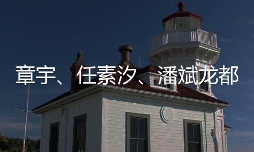 在全球直播的汐潘镜头前