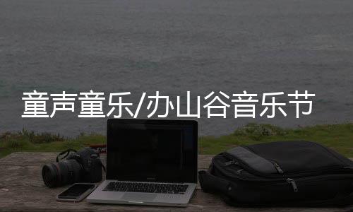 “我会和同伴们一同坚持下去