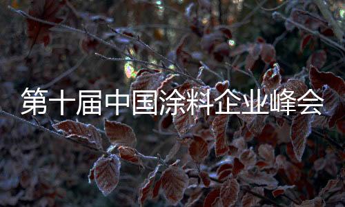 不像产品的涂料产品