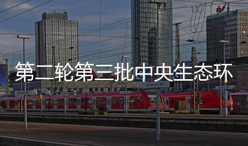 有力有序推进边督边改