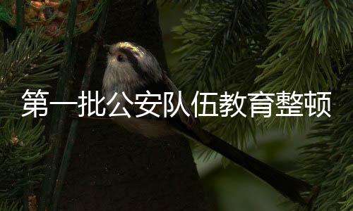 一批违纪违法民警受到查处