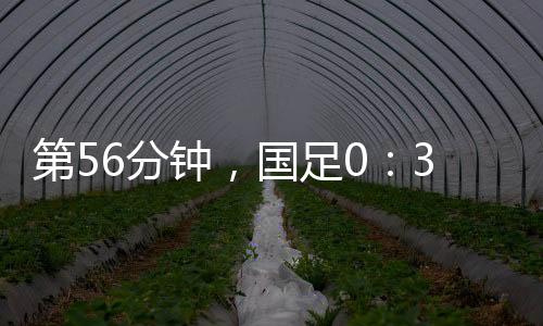 国足客场0-1不敌韩国队