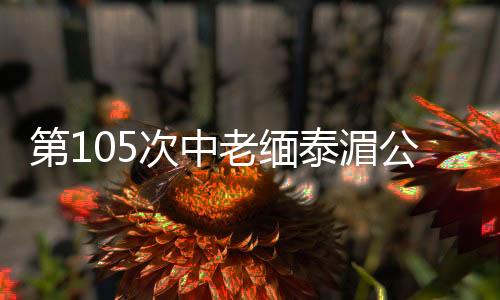 湄公河流域治安形势分析会