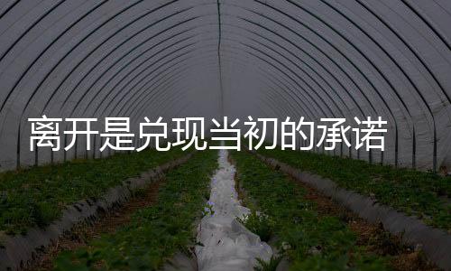 虽然一直希望返回巴西
