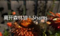 离开森林狼
！Shams
：凯尔特人2年550万签下卢卡