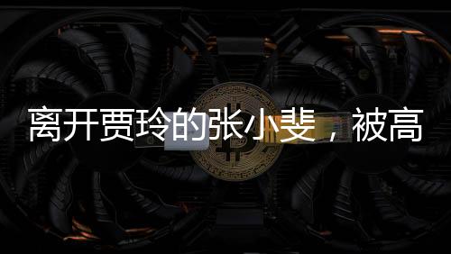 而之后大碗娱乐“解散”