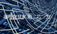 快排公司十年历程，霸屏兔 seo 的崛起与坚守