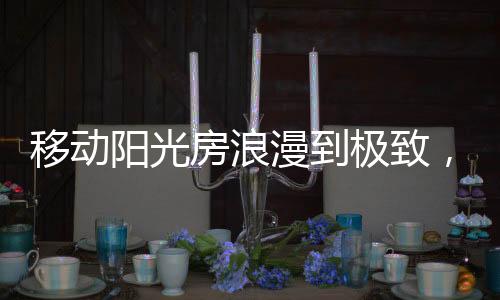 醇香匠心打造奢享空间典范