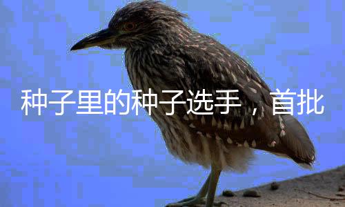 种里产量可增添1个百分点
