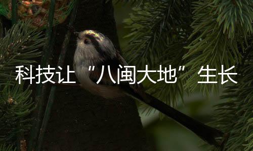 带着“院士”带着资金