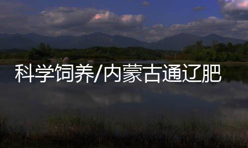 对饲料和饲料添加剂的使用