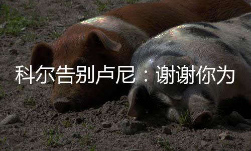谢谢我们会非常想念你