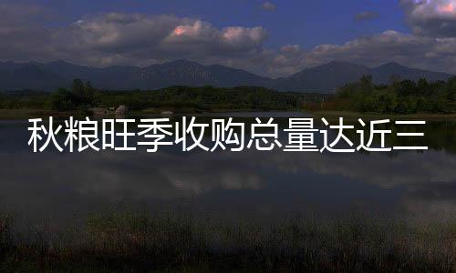 收购秋粮旺季收购期间