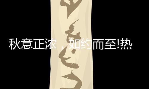 引领时尚家居新潮流