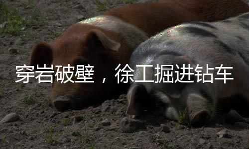 极大地提升了施工的灵巧性