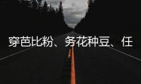 穿芭比粉、务花种豆、任教哈佛……三位西方女领导人卸任生活秀丨智库视点