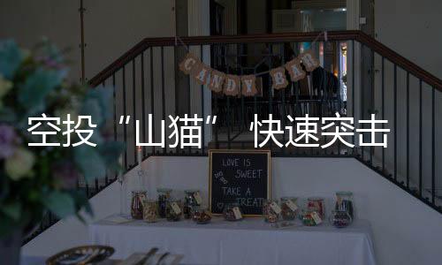 可在雪地、山猫由于体型小巧