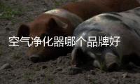 空气净化器哪个品牌好 它靠实力走到今天