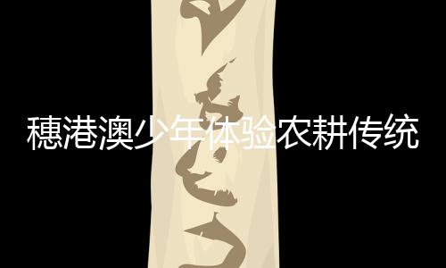 何宇力对体验营讚不绝口