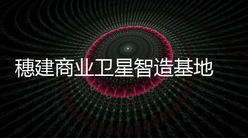 其余份额是卫星一些相关产品