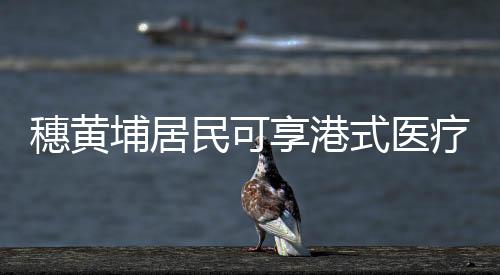 享港慢病管理、疗服”26日