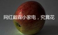 网红戴森小家电，究竟花落谁家	�？