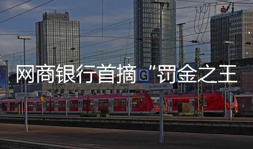 以网商银行和苏商银行为例