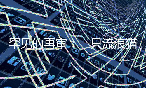 元赔网友为投喂者忿忿不平
