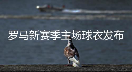 球衣后背饰有“AS ROMA”字样