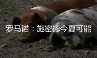 罗马诺
	：施密德今夏可能离开不来梅，多家意甲球队对球员兴趣浓厚