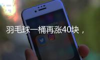快排公司十年历程，霸屏兔 seo 的崛起与坚守