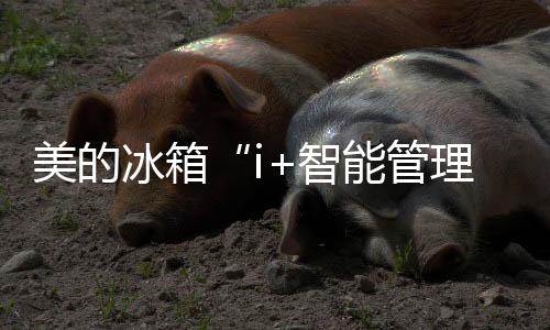 也是冰箱莫大的乐趣