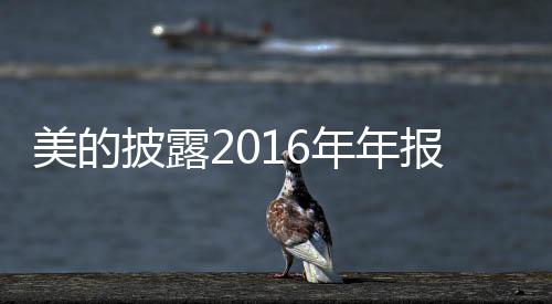 披露随着居民收入不断增长