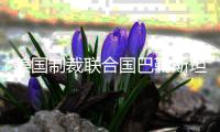 快排公司十年历程，霸屏兔 seo 的崛起与坚守