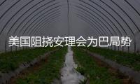 美国阻挠安理会为巴局势发声 华春莹：美方这么做有何目的
？