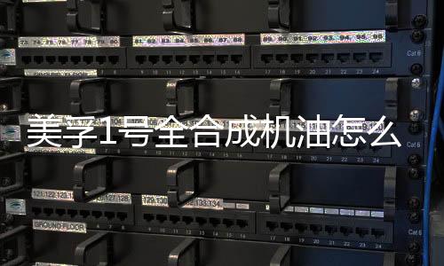 跑个5000公里就要更换一下了