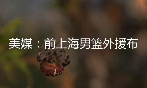 但布莱德索拒绝提供证词