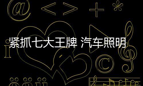 车照服务追求极致服务
