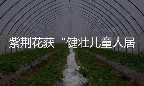 能有效抵抗多种细菌