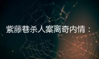 紫藤巷杀人案离奇内情	：四个专案组与警界“内鬼”