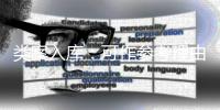 类案入库
：可作参考理由，不作裁判依据