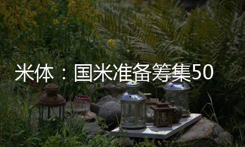 米体亚特兰大坚持要6000万欧