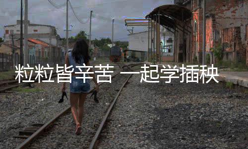然后可以下田去体验插秧劳作