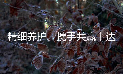 业务体系及发展现状